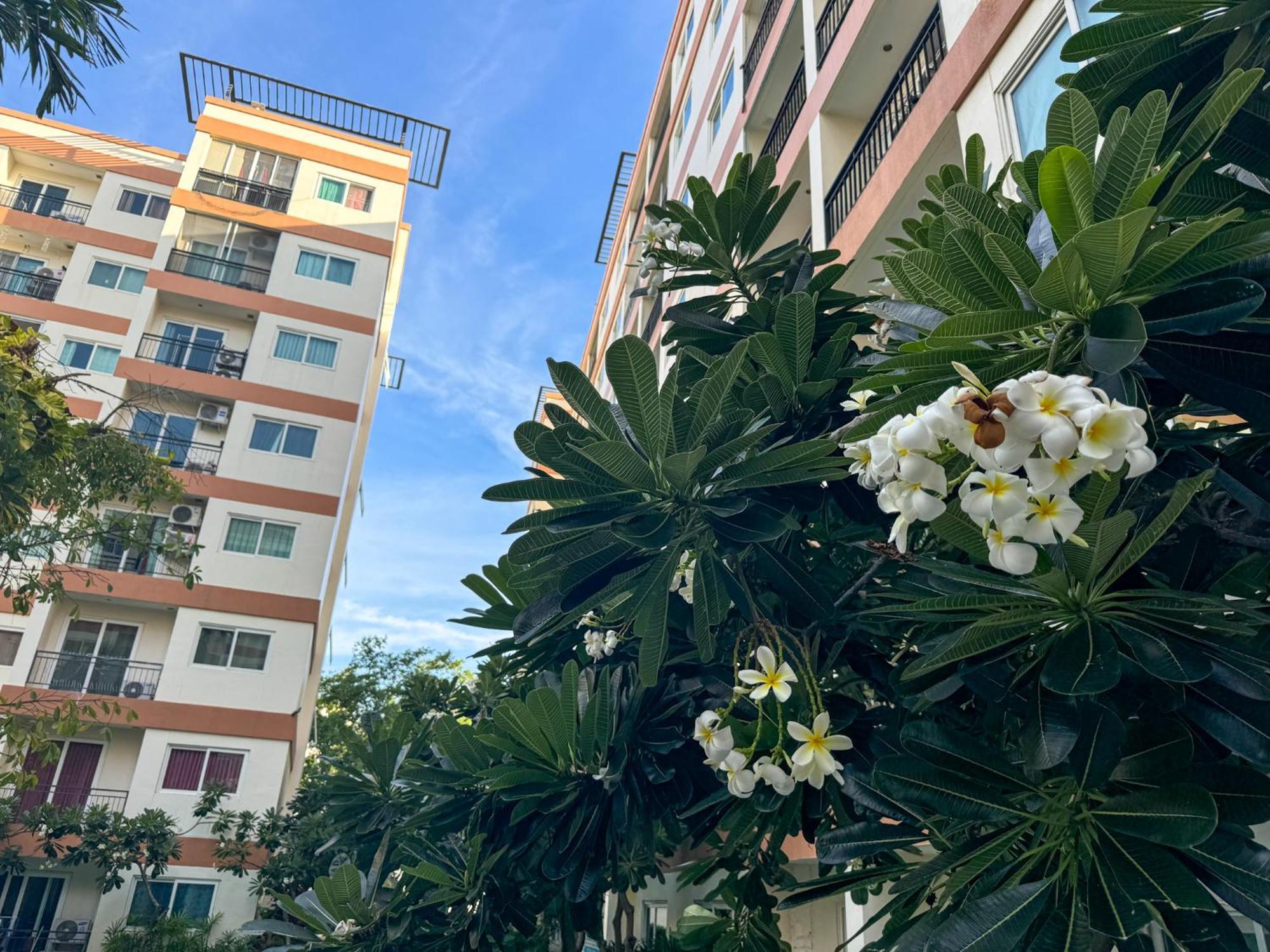 卧室直达泳池 全网最低价 到中天海滩5分钟 Jomtien Beach Exterior foto